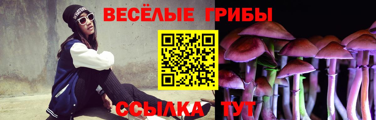 Богородск  Псилоцибиновые грибы Psilocybine cubensis  Галлюциногенные грибы прущие грибы  Вход с VPN 